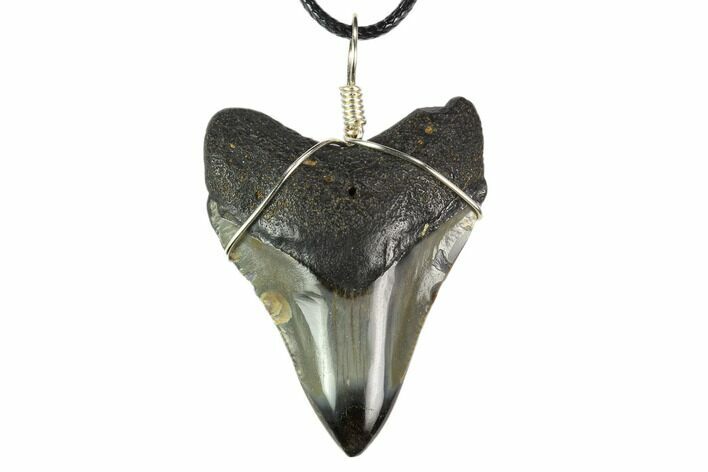Fossil Megalodon Tooth Necklace #130390